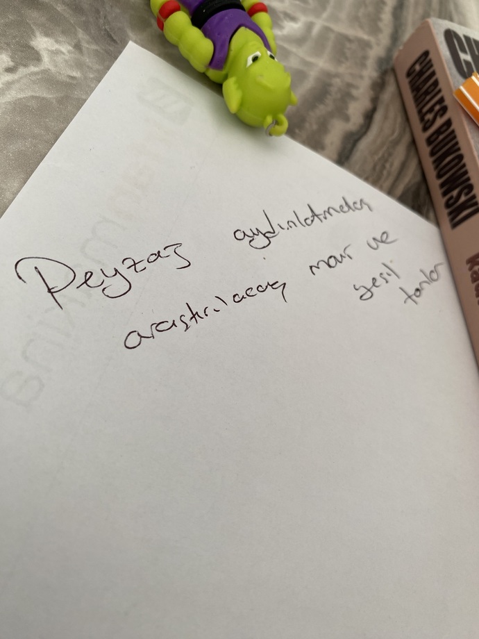 Yazınız güzel mi?