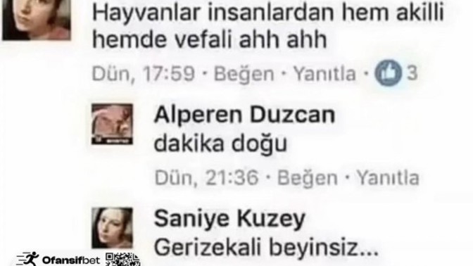 Agresif bir yapınız var mı?