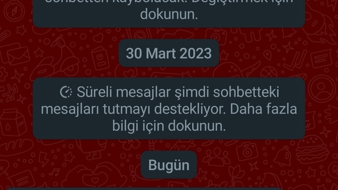 Stajda abi abi diye peşinde dolaştığım kekoyla bugün aramda böyle bir konuşma geçti bana mı aşık yoksa?
