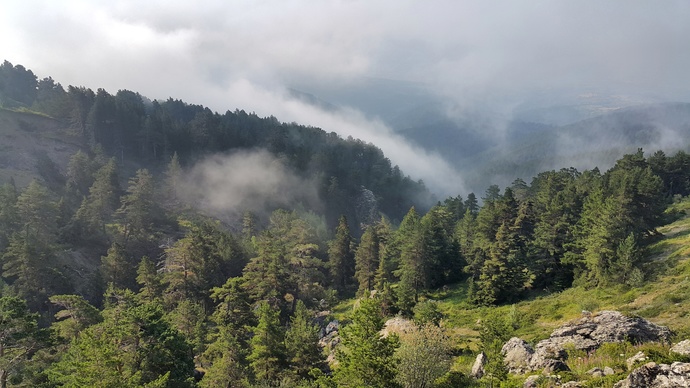 Nerede kamp yapmak güzel olur?