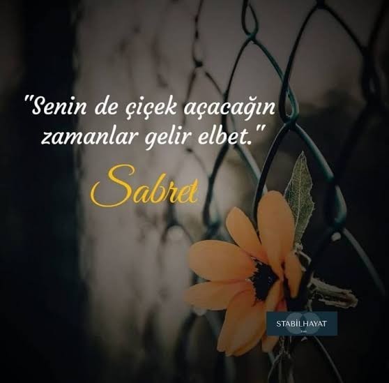 Sabretmeyi anlatan bir şey paylaşın?