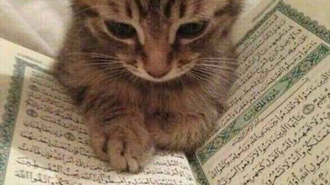 Türkiye'de İslam ve Şeriat neden kötüleniyor?