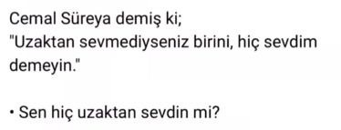 Sen hiç uzaktan sevdin mi?