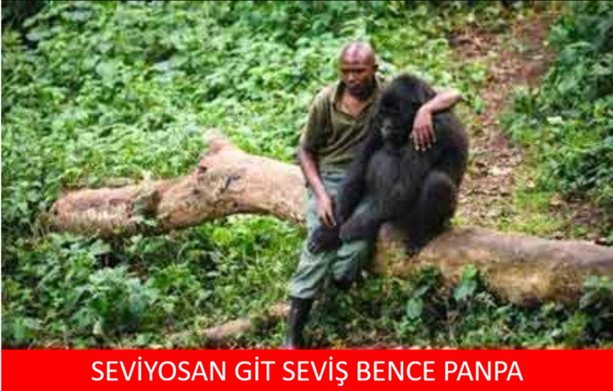 Sevgilimin cinsel organını elledim, etkiler mi?