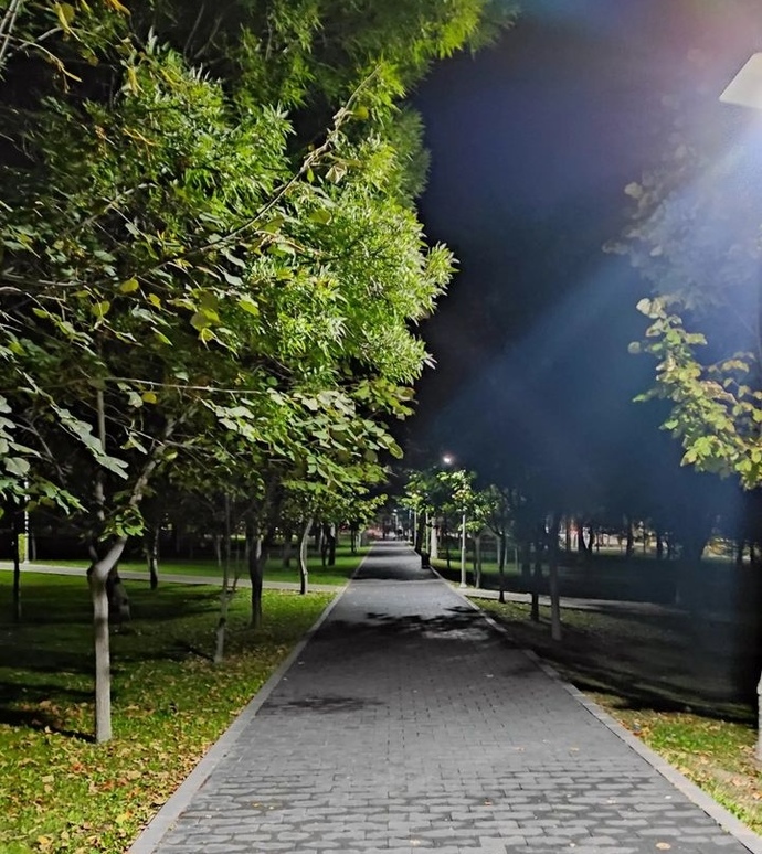 Gece yürüyüşe çıkar mısınız?