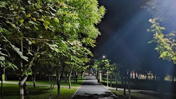 Gece yürüyüşe çıkar mısınız?