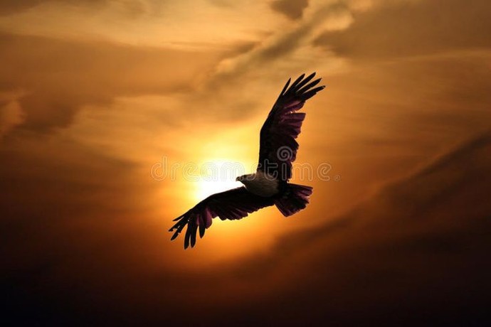 Kuşların uçuşlarını izlerken mesela... Size o muhasebeyi hangi manzara yaptırır?