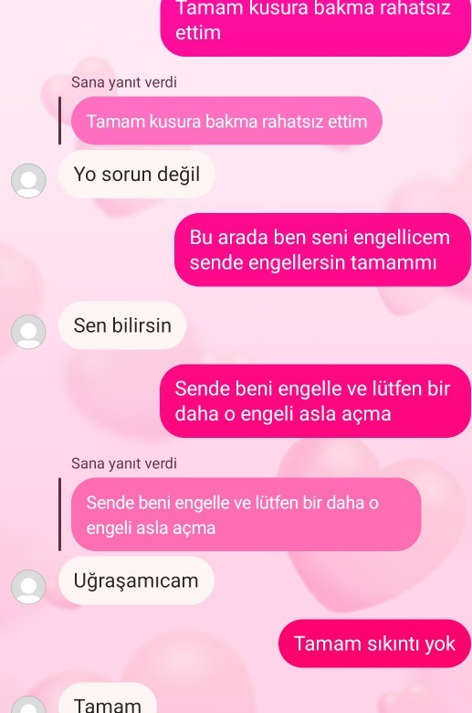 Severek ayrıldığım sevgilimle olan en son konuşmamızda bu şekilde yanıtlar verdi?