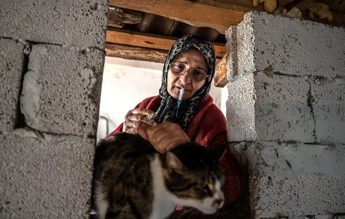 Ankarada 65 yaşındaki bir teyze, evinin giriş katını kedilere vermiş. Siz evde hayvan besliyor musunuz?