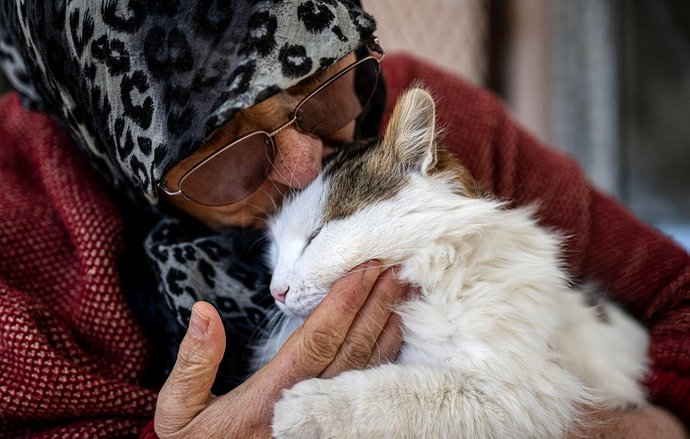 Ankarada 65 yaşındaki bir teyze, evinin giriş katını kedilere vermiş. Siz evde hayvan besliyor musunuz?