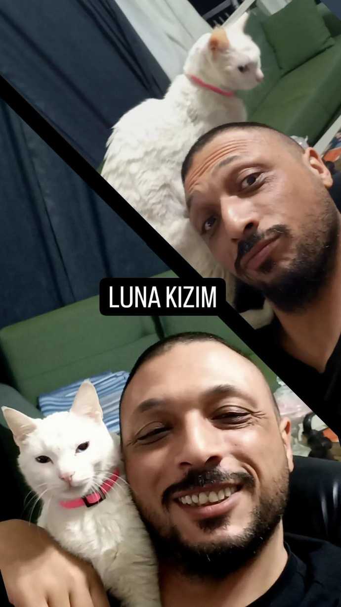 Ankara'da 65 yaşındaki bir teyze, evinin giriş katını kedilere vermiş. Siz evde hayvan besliyor musunuz?