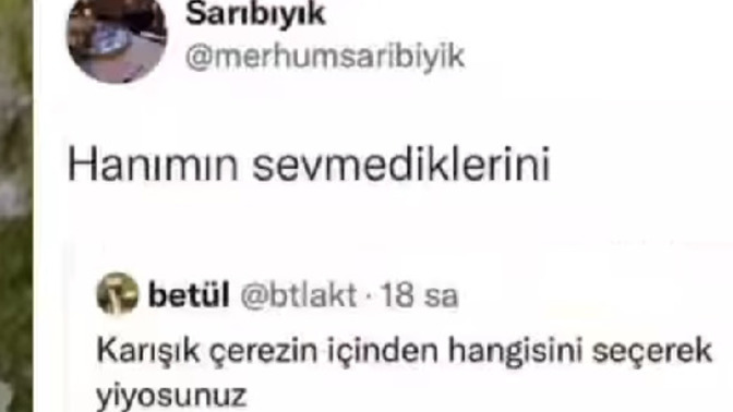 Hanımcı mısınız?