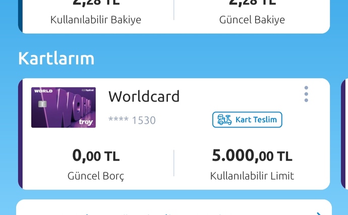Kullanabiliyor muyum?