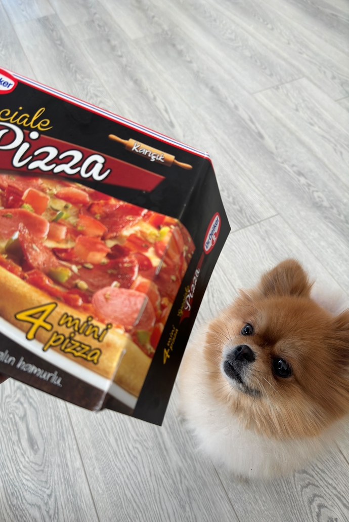 Dondurulmuş pizza seven var mı? Hangi markayı daha çok seviyorsunuz?