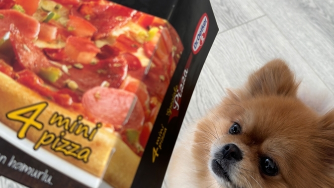 Dondurulmuş pizza seven var mı? Hangi markayı daha çok seviyorsunuz?