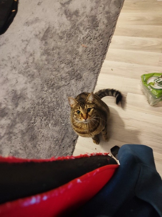 Her an yanınızda olduğunu düşündüğünüz hissettiğiniz biri var mı?