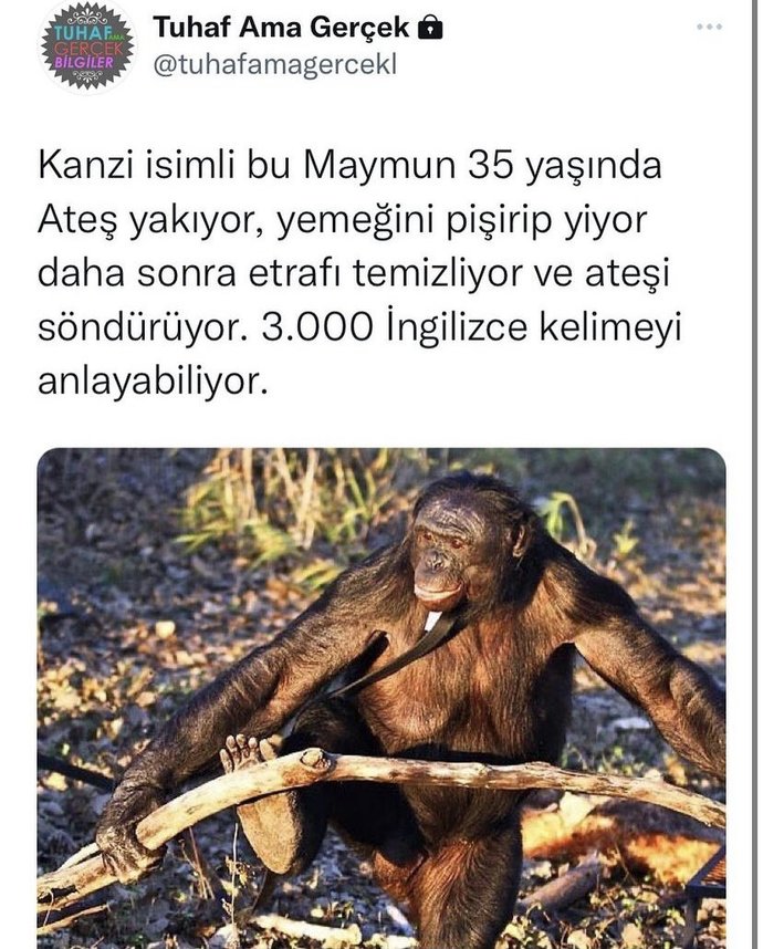 Hangi dilleri biliyorsunuz? Bildiginiz dillerin maddi kazanci oluyor mu?
