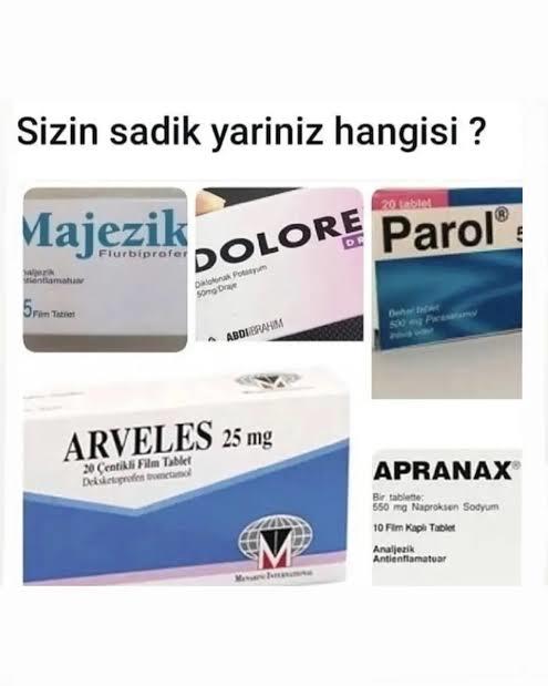 Sizin sadık yariniz hangisi?