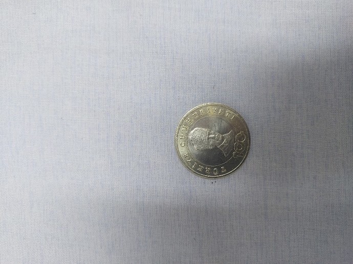 Elinize Hiç Madeni 5 TL Geçti Mi?
