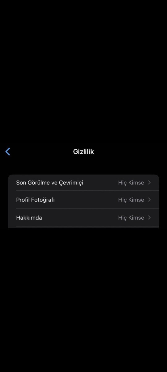 WhatsAppda her şeyiniz gizli mi?
