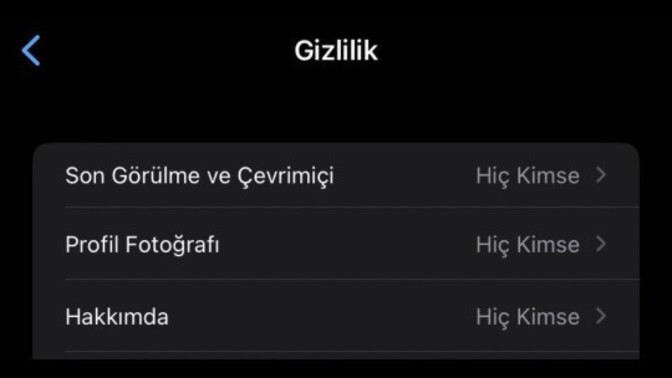 WhatsApp'da her şeyiniz gizli mi?