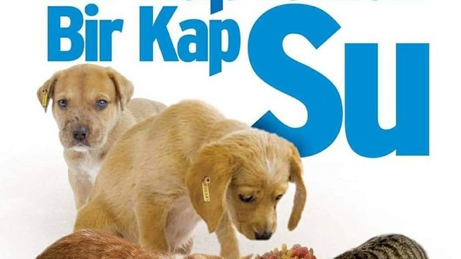 Bugünde sokakta ki canları unutmuyoruz değil mi?