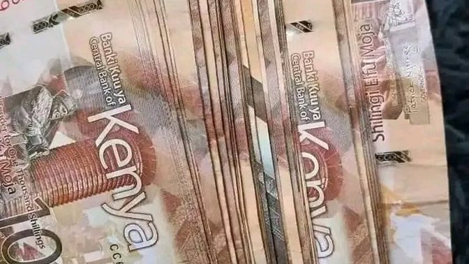 Sence ekomi düzelir mi?