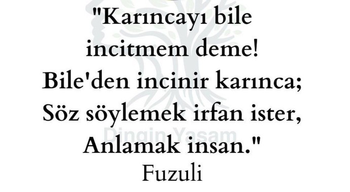 İnsanları incitmekten çekinir misiniz?