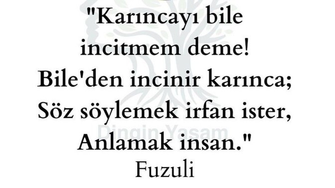 İnsanları incitmekten çekinir misiniz?