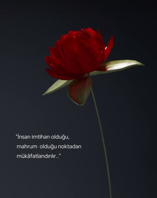 Hayatınızın en unutulmaz ödülü neydi?