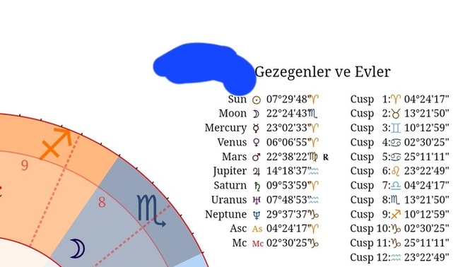 Hastrolojiden anlayan varsa doğum haritama Bi bakabilir mi ?