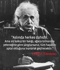 Zeki /akıllı insanlar kendilerini övme ihtiyacı duyar mı sizce yoksa onları etrafı övdüğü için buna gerek kalmaz mı?