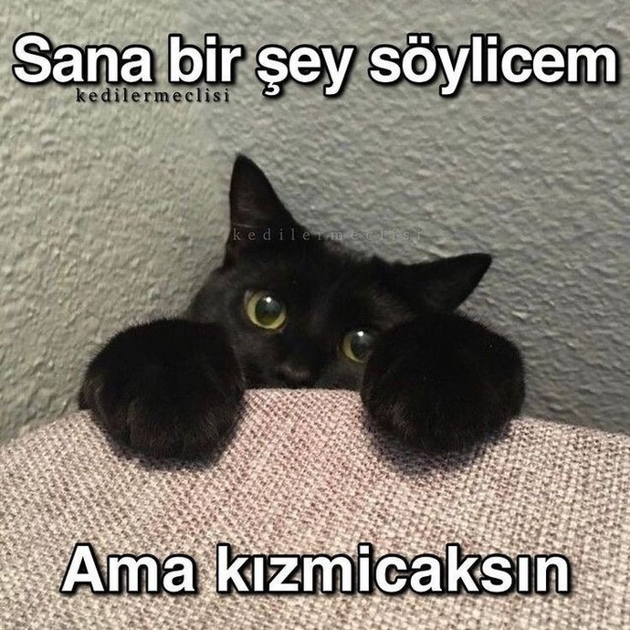 Kızmam dedikten sonra kızanlardan mısınız?