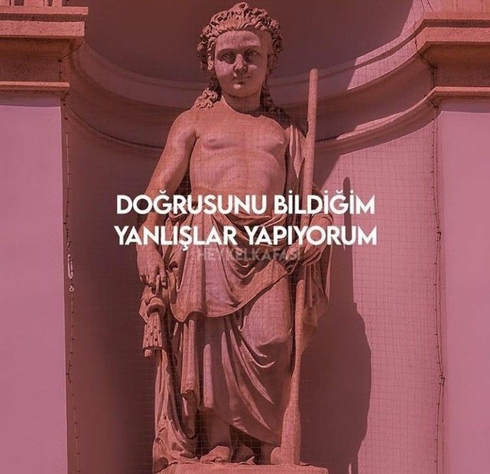 Tercihlerini neye göre yaparsın?