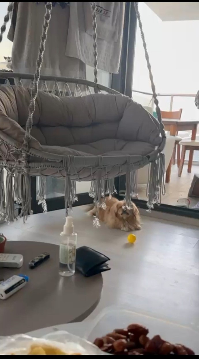 Pazar gününe nasıl uyandınız?