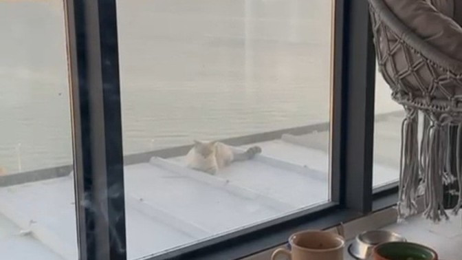 Pazar gününe nasıl uyandınız?