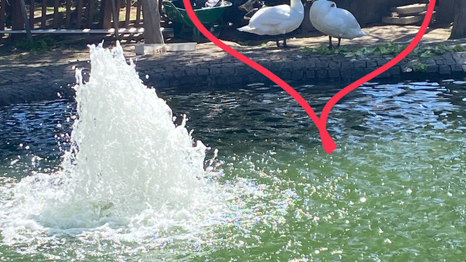 Sizce bunlar sevgili mi?