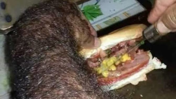 Bugün iftar menünüz de ne var kuşlarım?