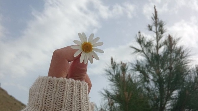 Senin için önemli olan denemiş olmak mı yoksa herşeyi doğru yapmış olmak mı?