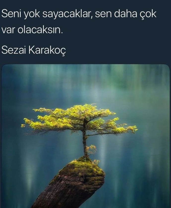 Hayat dediğin Sen “Bitti” dediğin an gelen Mucizedir✨
