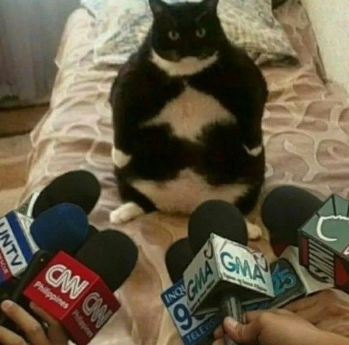 Hayatınız boyunca hiç röportaj yaptınız mı?