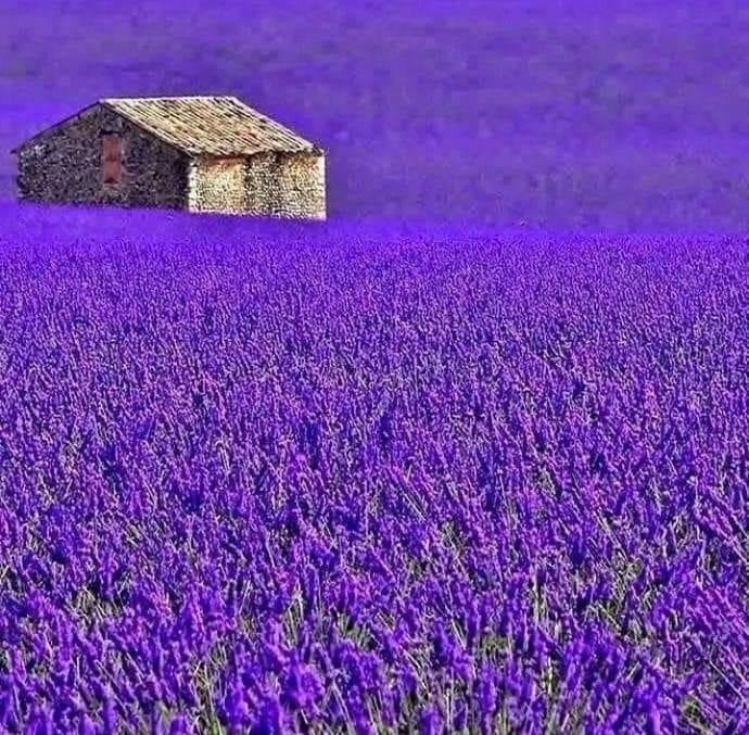 Çok değil, aradığımız biraz huzur…