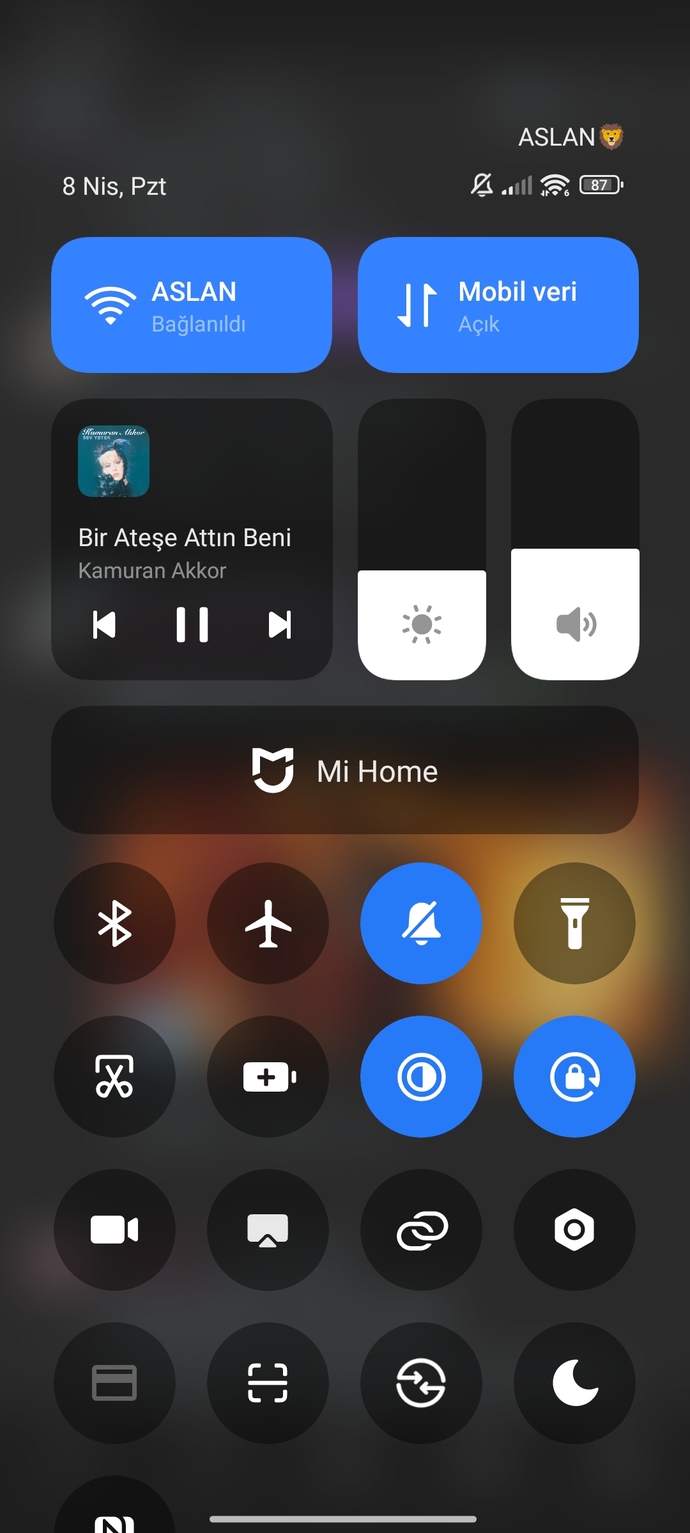 Müzik bırakır mısınız canlar 🍀?