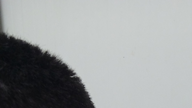 Sizce bu fotoğrafı neden çekmişim 😃? Galerinizde acayip, niye çektiğinizi bilmediğiniz fotolar var mı?