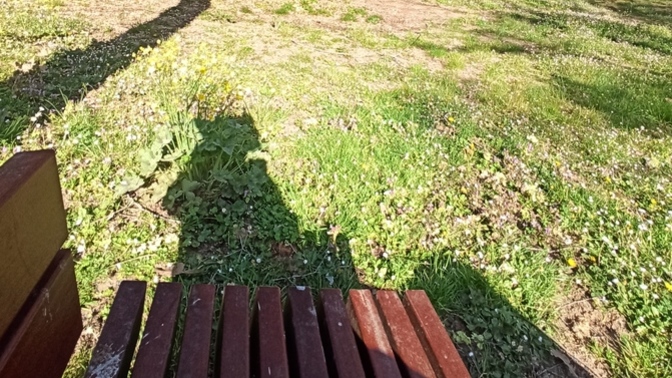 Uzak nedir? Tarif edebilir misiniz?