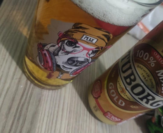 Neden içki içiyorsunuz?