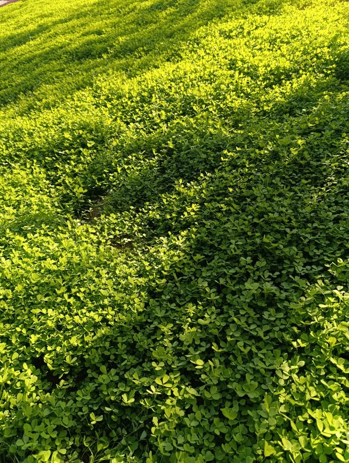 Kendimi aşırı yalnız hissediyorum. Nasıl düzelirim?