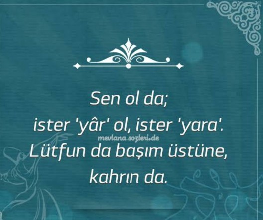 Görselde bulunan özlü söz size neler ifade ediyor?