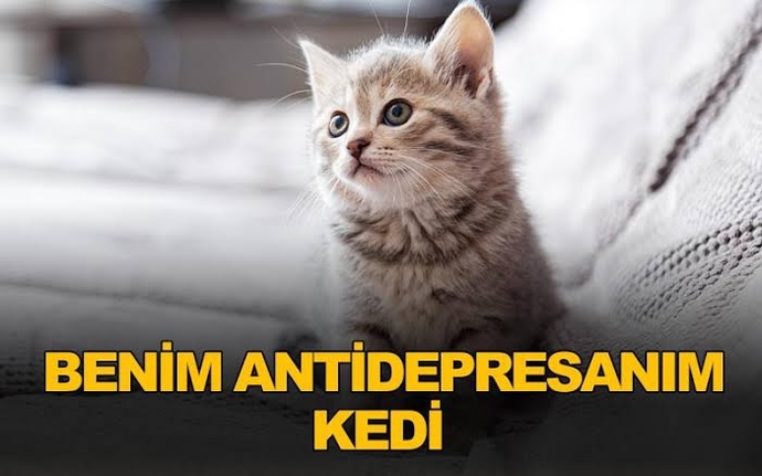 Sizin antidepresanınız nedir?