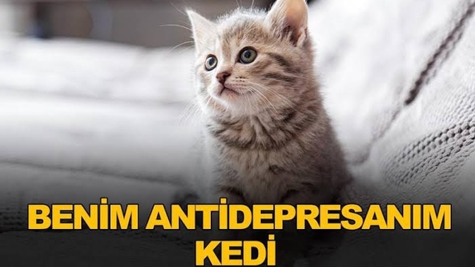 Sizin antidepresanınız nedir?